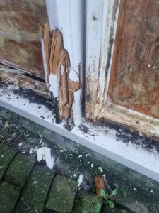 1d6e4cdf 06d6 4271 9eca 58be0bcf65c7