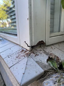 Tempimagersbcwd compressed